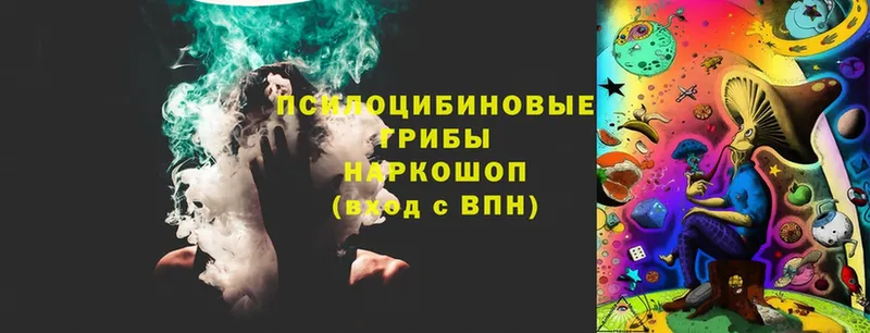 Псилоцибиновые грибы Cubensis  где купить   Павлово 