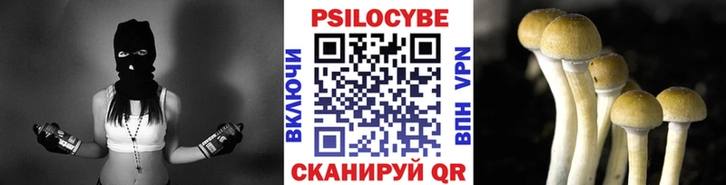 Псилоцибиновые грибы прущие грибы  Павлово 