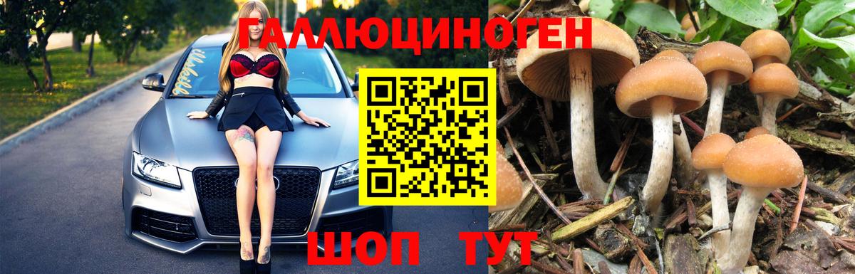 Галлюциногенные грибы мицелий  Галлюциногенные грибы MAGIC MUSHROOMS  цены   Вход с VPN  Павлово 