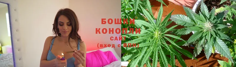 Каннабис SATIVA & INDICA  наркотики  Павлово 